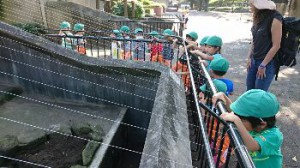 2016 10月20日 年少秋の遠足2　動植物園到着！