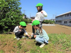 g中自然遊び (1)