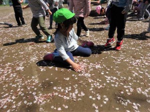 中長花びら集め (2)