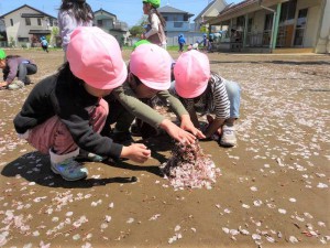 中長花びら集め (4)