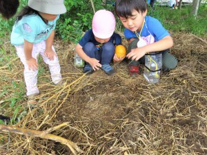 g中自然あそび (1)