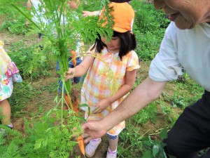 g長にんじん (11)