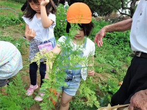 g長にんじん (12)