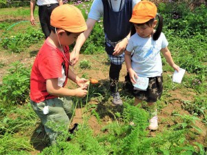 g長にんじん (3)