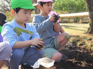 2021　11月17日　年中クラス　だんご作り