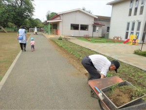 2022　8月26日　芝刈り、花壇の植え替え