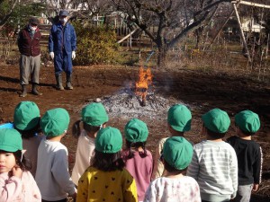 g焼き芋 (2)