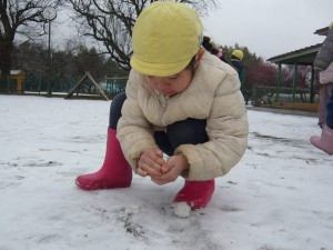 少雪 (5)