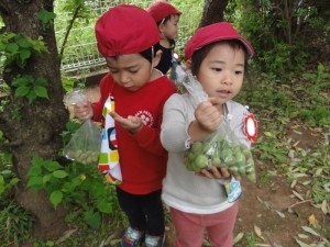 少自然・幼稚園探検 (11)_R