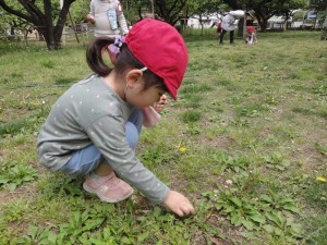 少自然・幼稚園探検 (2)_R