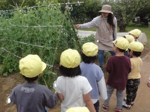 少自然・幼稚園探検 (6)_R