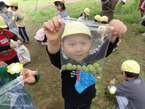 少自然・幼稚園探検 (7)_R