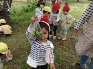 少自然・幼稚園探検 (9)_R