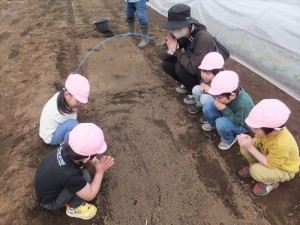 2023　4月18日　年中クラス　廿日（はつか）大根の種まき