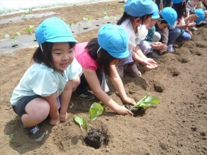 長夏野菜 (22)_R