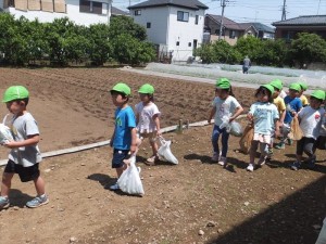 うめ廿日 (7)_R