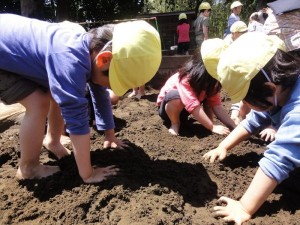 少ひよこはだしで砂場 (10)_R