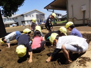 少ひよこはだしで砂場 (11)_R