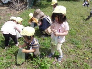 2023　5月1日　年少クラス　砂場あそび・虫探し＆花摘み